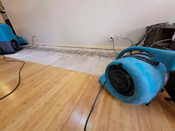 Professional Ceiling Water Damage Repair technician working in Littleton, CO